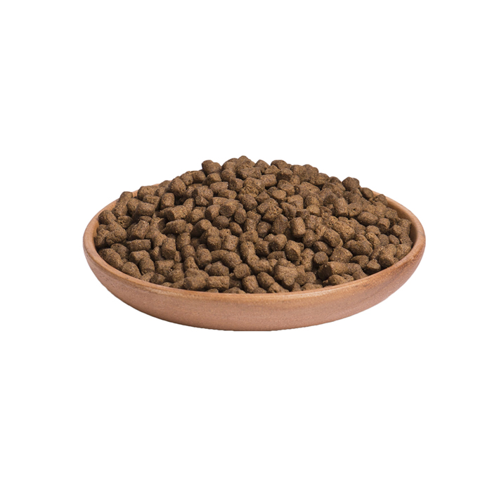 Wellness Core Kitten Glopoula & Kotopoulo 1.75kg Xira Trofi Gtas